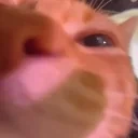 AGAAH emote for Discord