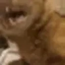 agony emote for Discord