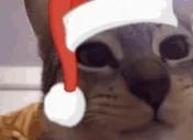 aga emote for Discord