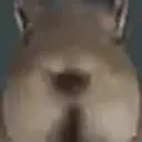 agumii1Sniffa emote for Discord