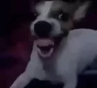 AHAHAHA emote for Discord