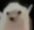 Ahmetmuh emote for Discord