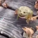 AHAHA emote for Discord