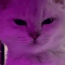 ahuel emote for Discord