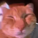 ahoh emote for Discord