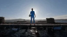 ahoraMeTocaAMi emote for Discord