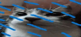 ahsosorryRain emote for Discord