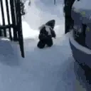 AHOP emote for Discord