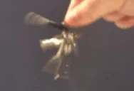 ahahaaa emote for Discord