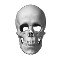AINTNOWAYBRUH emote for Discord