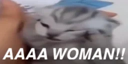 AAWOMAN emote for Discord