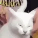 AAAAAAAAAGHH emote for Discord