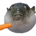 AAUGH emote for Discord