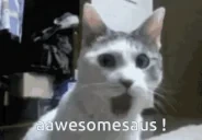 aawesomesaus emote for Discord