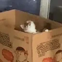 AAAAAA emote for Discord