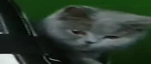 aahaa3 emote for Discord