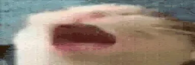 AAAA emote for Discord