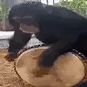 aaaa emote for Discord