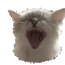 AAAA emote for Discord