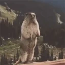 AAAAA emote for Discord