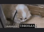 AAATYAFONKA emote for Discord