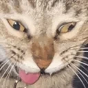 AAAAAAA emote for Discord