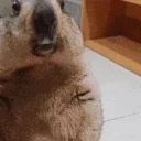 Abusing emote for Discord