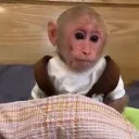 AAW emote for Discord