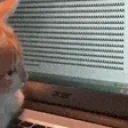 AAAAAAAAAAAAA emote for Discord