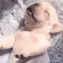 AAA emote for Discord