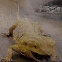 aash emote for Discord