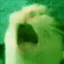 AAAA emote for Discord