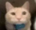 Abaduba emote for Discord