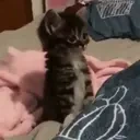 abandoned emote for Discord