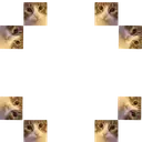 about2spitalot emote for Discord