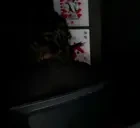 AbsoulteKG emote for Discord