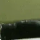 AbangBangun emote for Discord