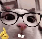 Actually animated emote for Discord, Twitch and Slack