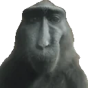 ActinUp emote for Discord