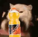 ACTION emote for Discord