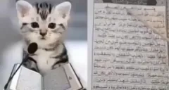 actually emote for Discord