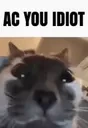ACYOUIDIOT emote for Discord