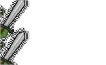 ackertanz emote for Discord