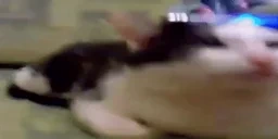 ALARMWIDE emote for Discord