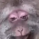 AllSmiles emote for Discord