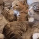 AlrightSlap emote for Discord