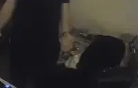 Alex emote for Discord