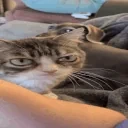 AlrightAsk emote for Discord