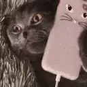 Aloo emote for Discord