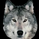 Alpha emote for Discord